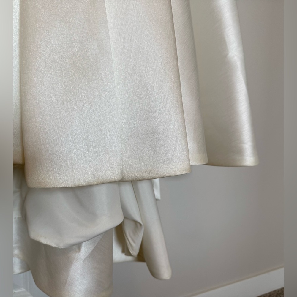 Jenny Yoo Marisol Wedding Dress - Size 2 - Picture 10 of 16